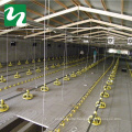 Poultry Farm Equipment PP Material Full Automatic Chicken House Shed Feeder Line